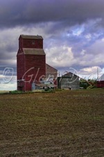 Kinley (relocated to area farm)
September 2005